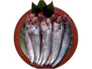 Chewa