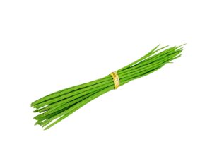 Frozen-Vegetables-Sajna-Data