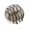 Meni Fish