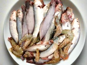 Mix-Fish