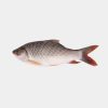 Rohu Fish