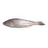 Poa Fish