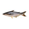 Swai-fish